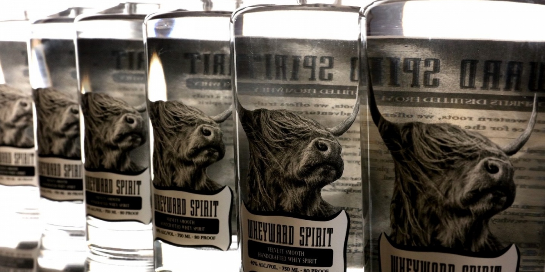 チーズの副産物“スイートホエイ”から作る
サステナブルな「Wheyward Spirit」!
