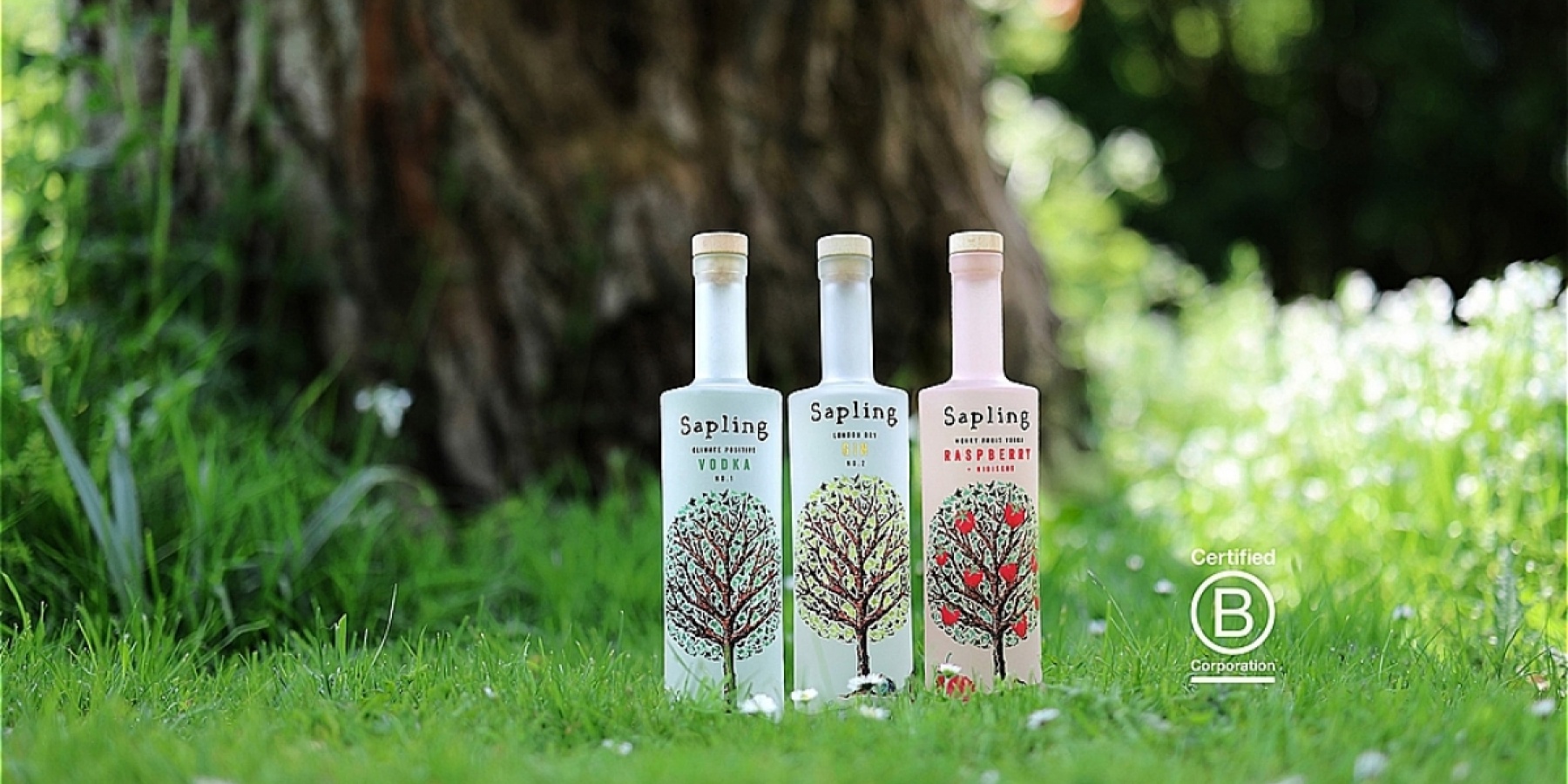1瓶売れるごとに、木を1本植樹する。
サステナブルなお酒メーカー「Sapling」!