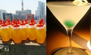 日本全国ハニーカクテル大旋風！
「銀ぱちプロジェクト」って！？